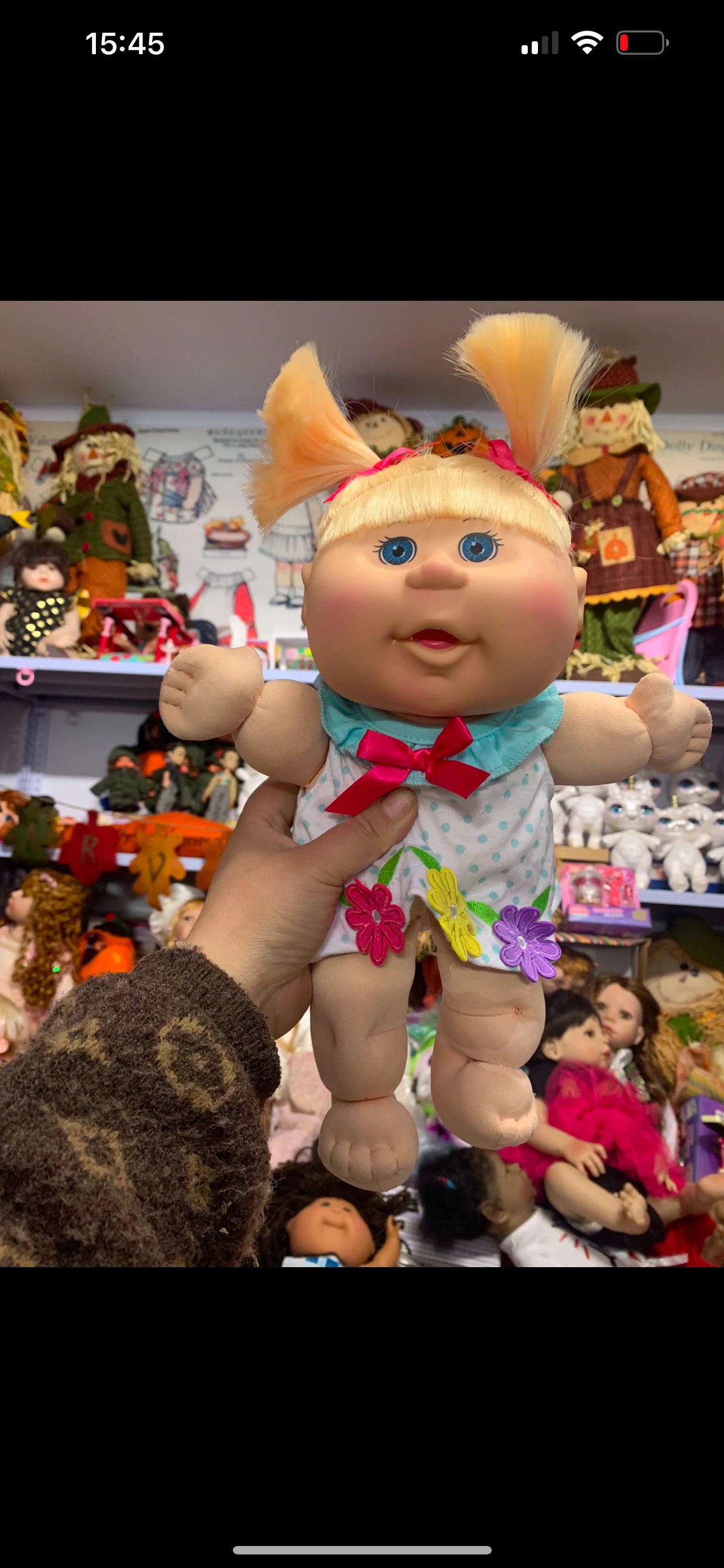 In Stock Original Cabbage Doll Version Bulk Goods A Few Spot Supplies Kawaii Good Birthday Gifts There Are Many Different Styles